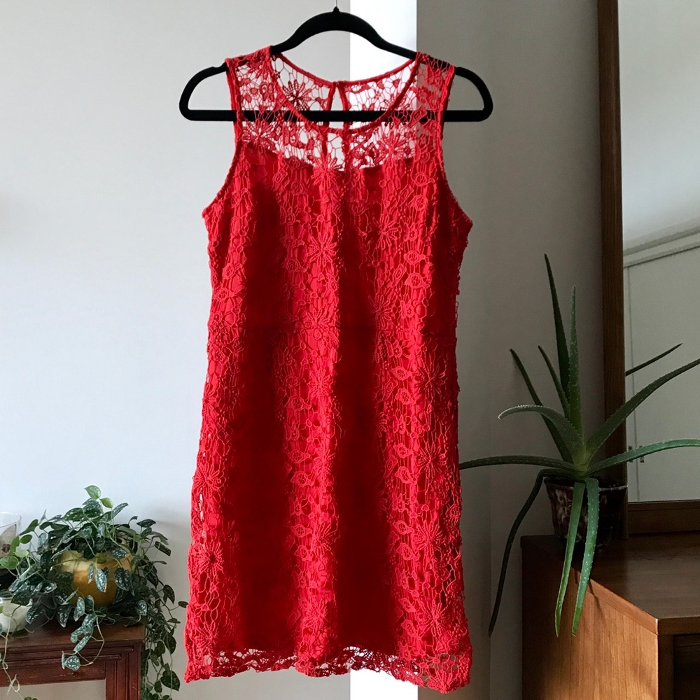 Lexee Lace Dress